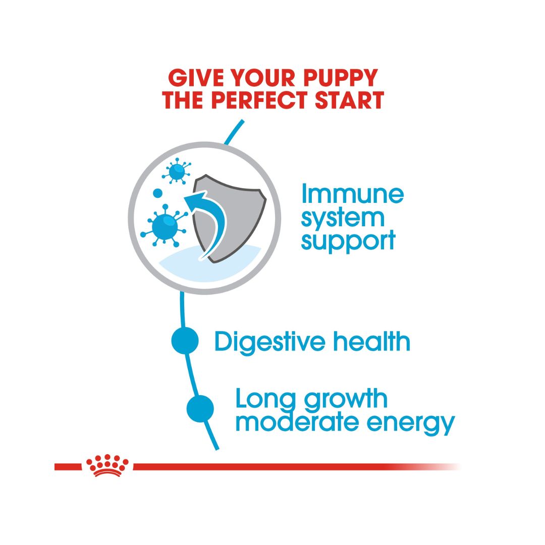 Royal Canin Maxi Puppy Dry Food - Benefits 