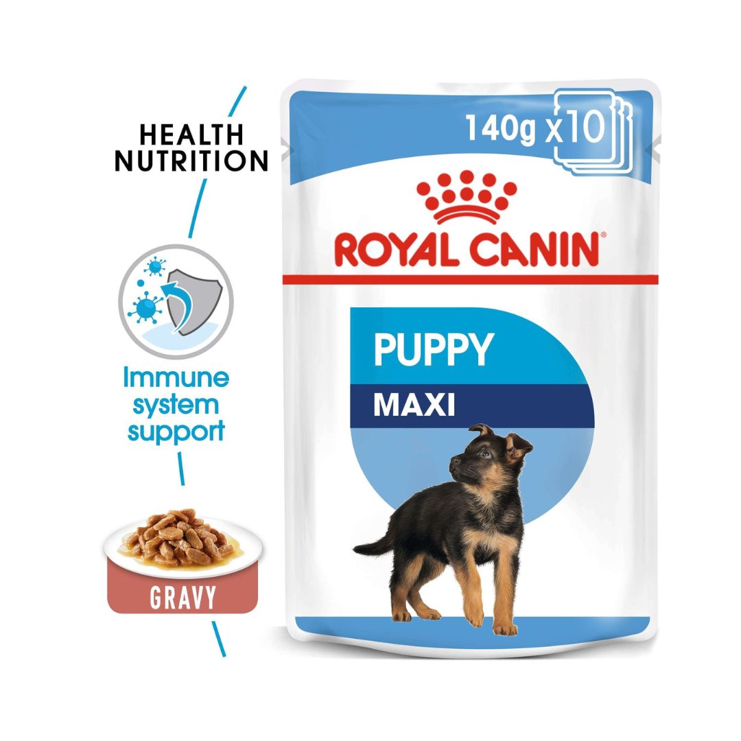 Royal Canin Maxi Puppy Gravy Wet Food - Wet food in gravy for large-breed puppies - Health Nutritions 