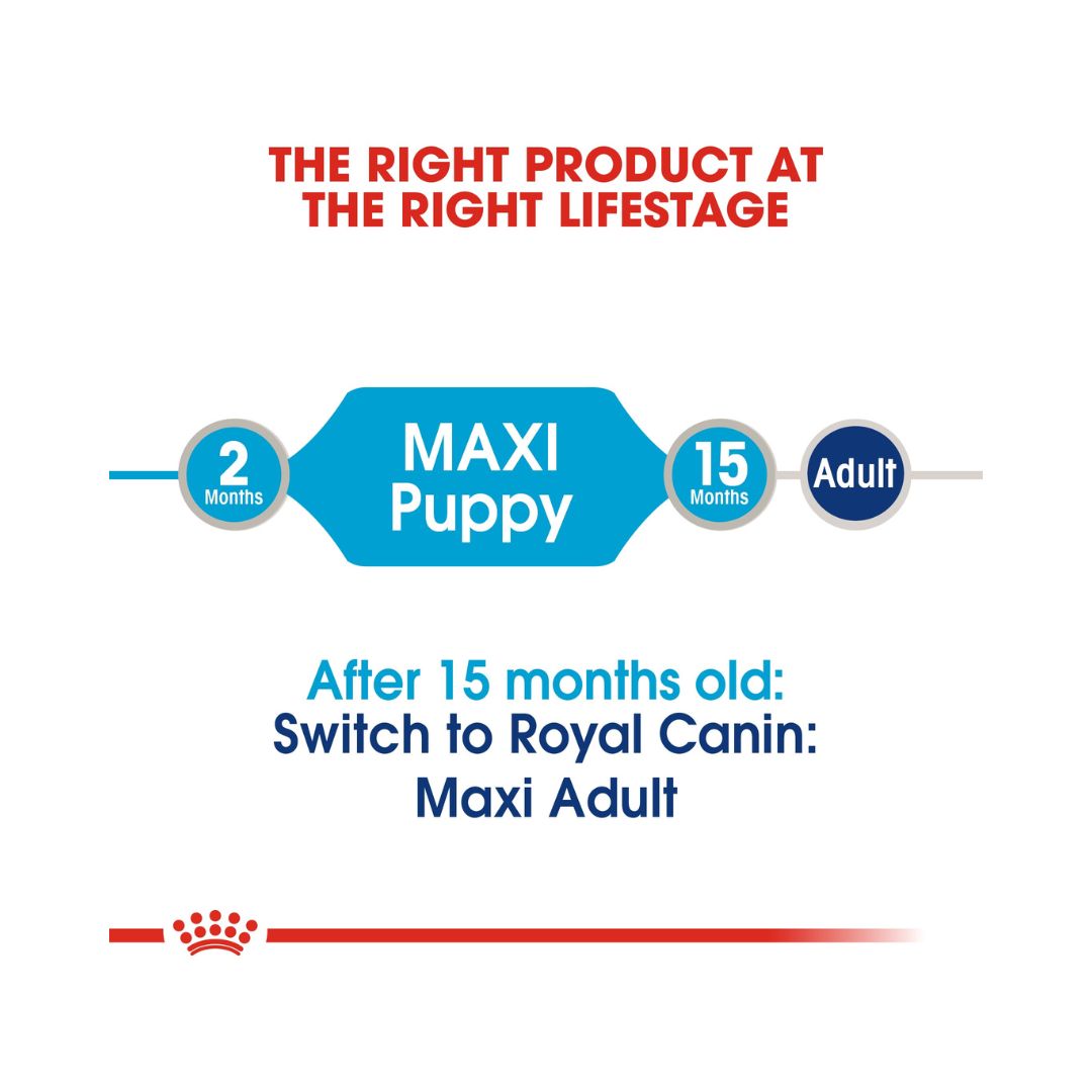 Royal Canin Maxi Puppy Gravy Wet Food - Wet food in gravy for large-breed puppies - Age and Size