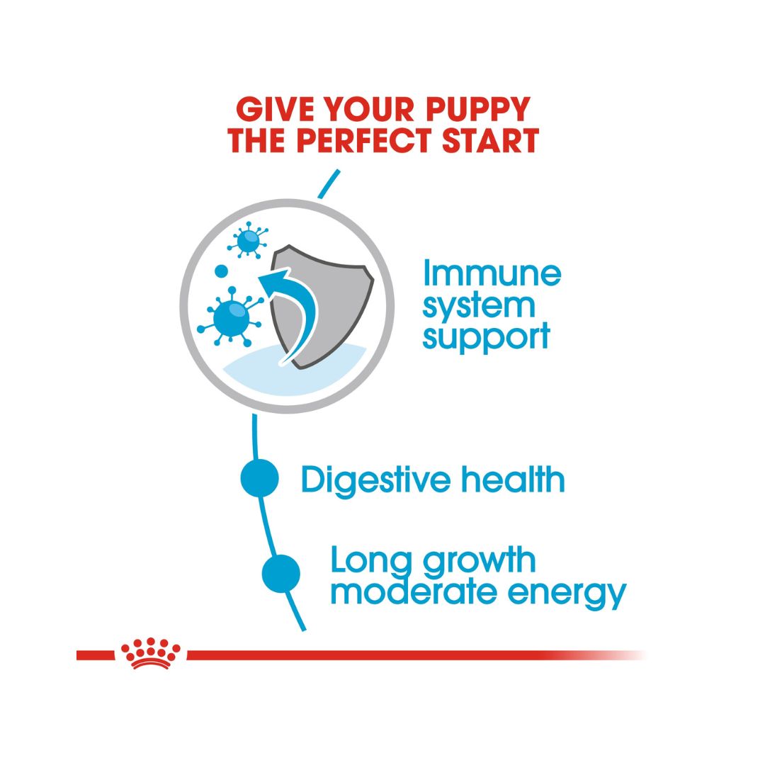 Royal Canin Maxi Puppy Gravy Wet Food - Wet food in gravy for large-breed puppies Food Benefits 