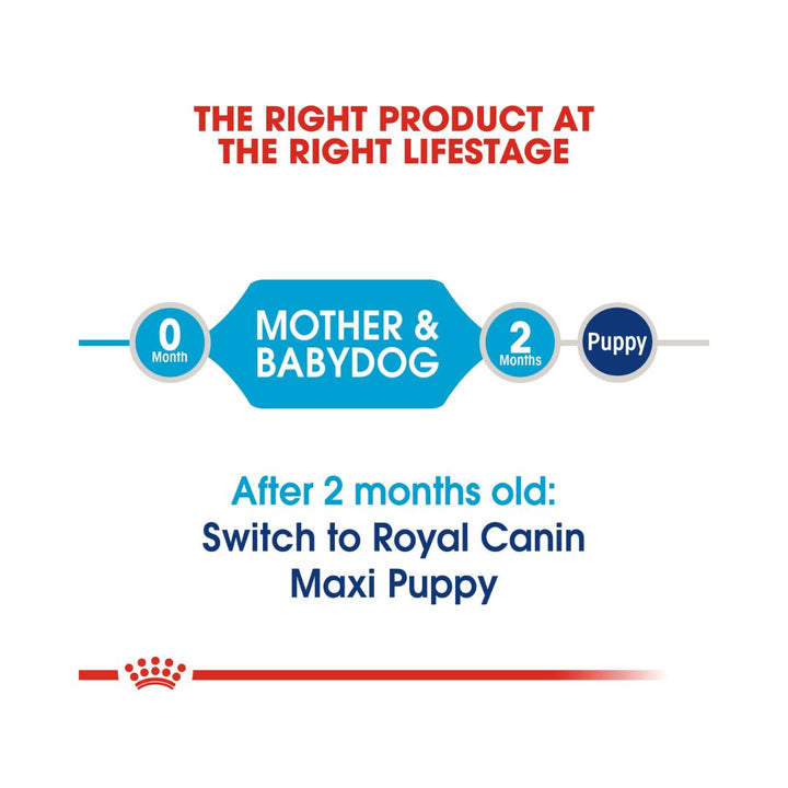 Royal Canin Maxi Starter Mother & Babydog Dry Food Complete feed for dogs 26 to 44 kg and her puppies: Mother at the end of gestation and during lactation puppies up to 2 months old 3.