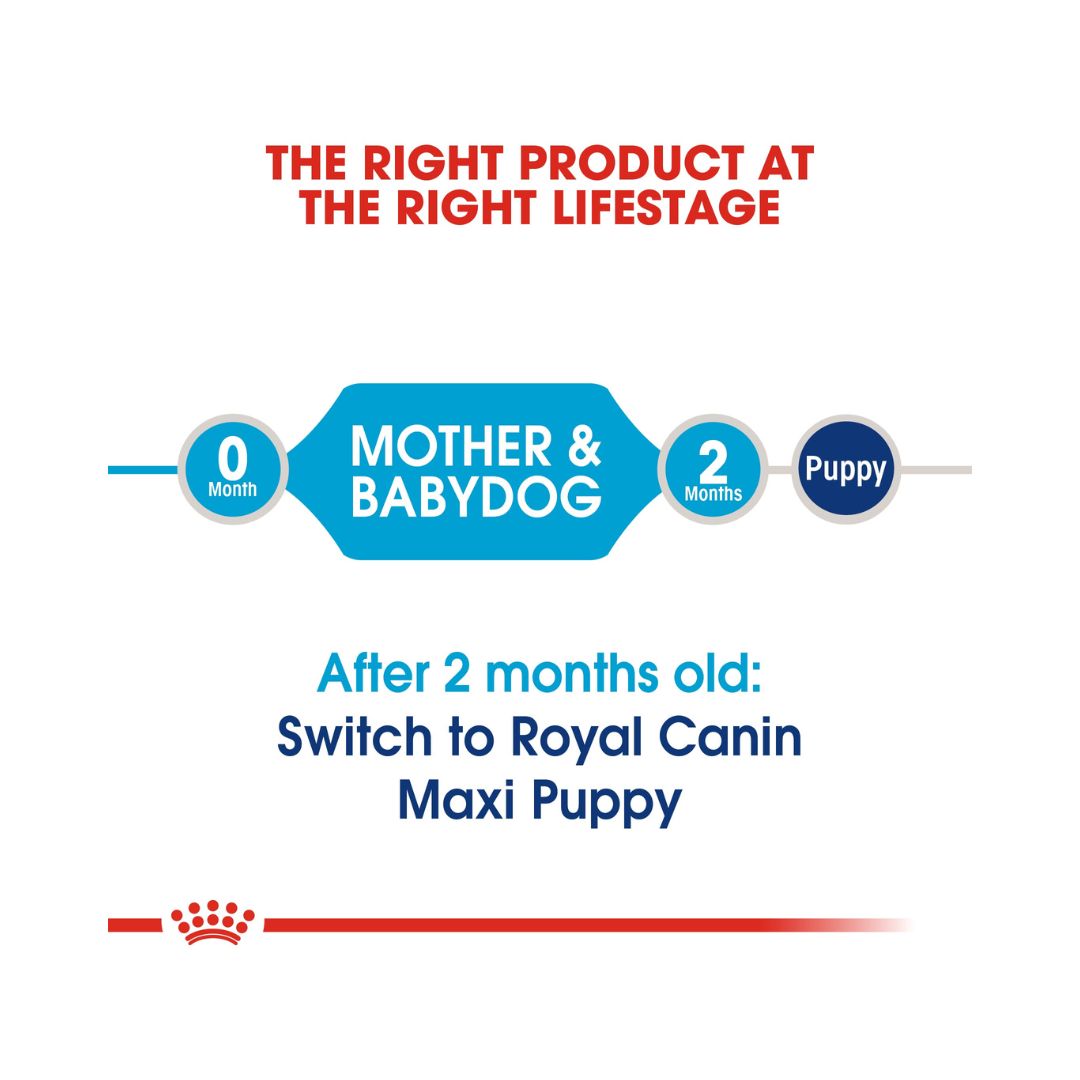 Royal Canin Maxi Starter Mother & Babydog Dry Food Complete feed for dogs 26 to 44 kg and her puppies: Mother at the end of gestation and during lactation puppies up to 2 months old 3.
