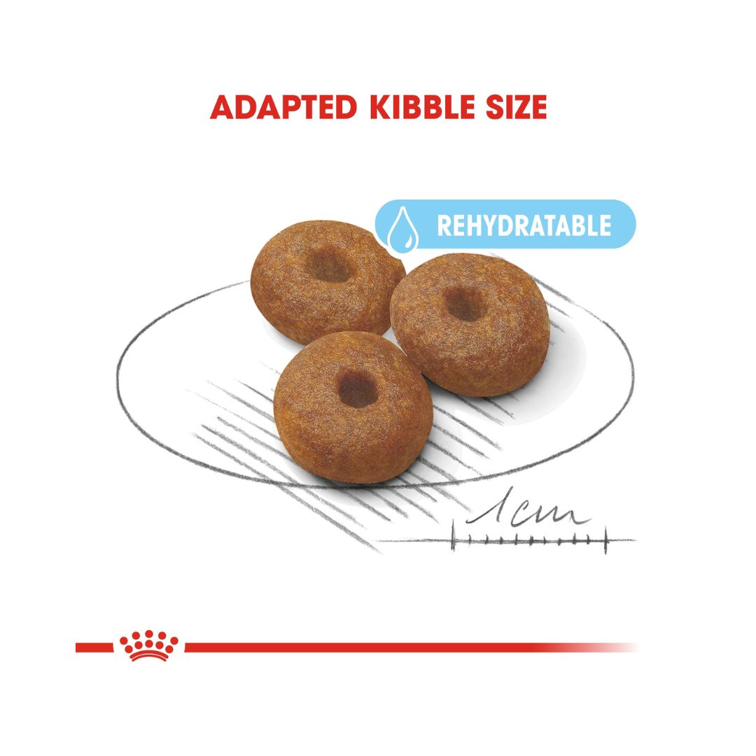 Royal Canin Maxi Starter Mother & Babydog Dry Food Complete feed for dogs 26 to 44 kg and her puppies: Mother at the end of gestation and during lactation puppies up to 2 months old 4.