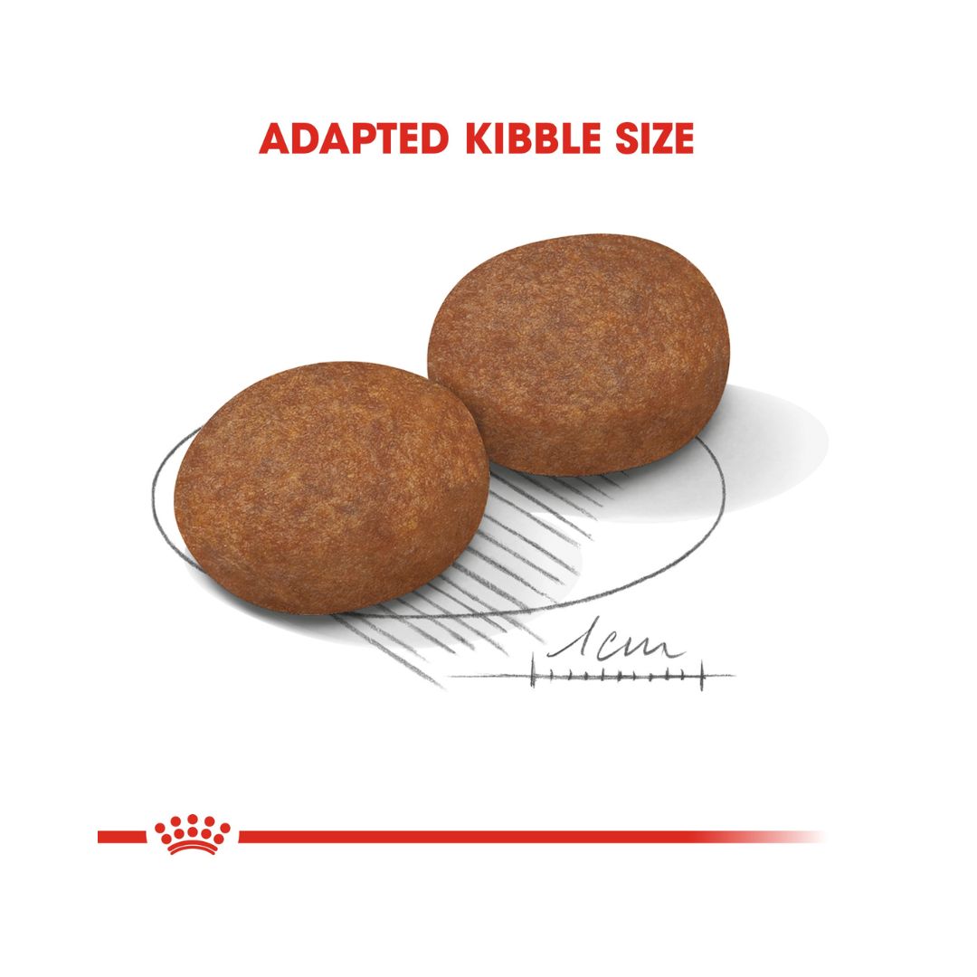 Royal Canin Medium Adult 7+ Dog Dry food For mature medium breed dogs 11 to 25 kg Over 7 years old 4.