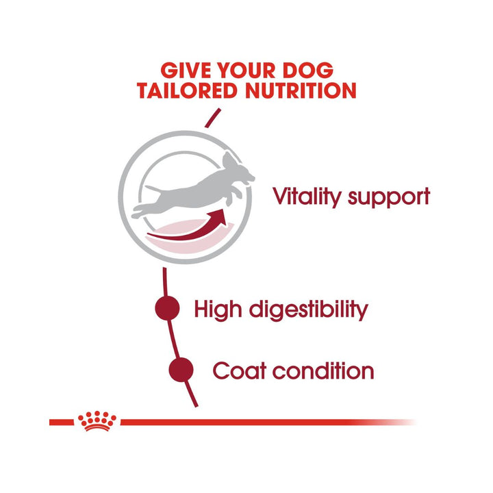 Royal Canin Medium Adult 7+ Dog Dry food For mature medium breed dogs 11 to 25 kg Over 7 years old 5.