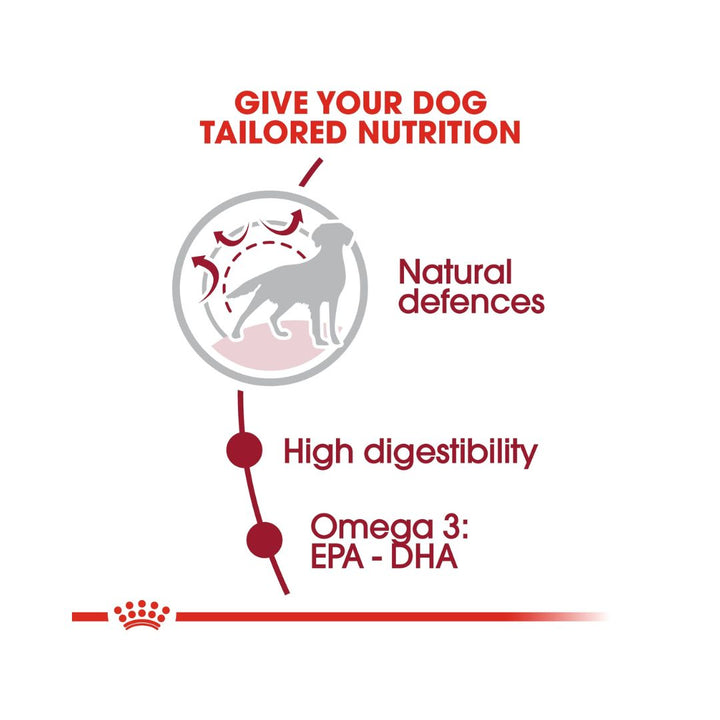 Royal Canin Medium Adult Dog Dry Food is tailor-made to suit the unique nutritional needs of your medium-breed adult dog 6.