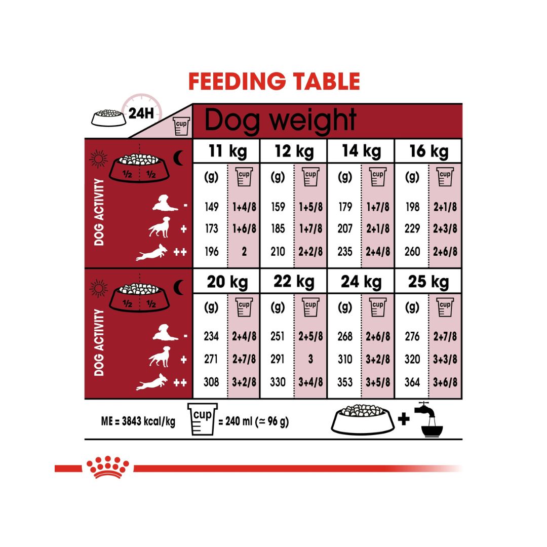 Royal Canin Medium Adult Dog Dry Food - Feeding Guide 