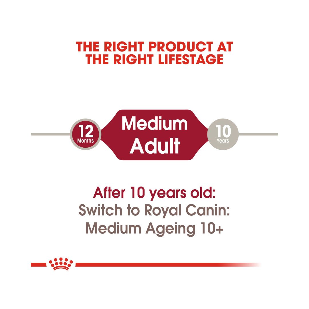 Royal Canin Medium Adult Dog Gravy Wet Food - Wet food in gravy for medium-sized adult dogs size and age 