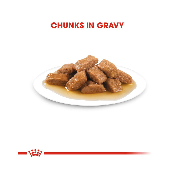 Royal Canin Medium Adult Dog Gravy Wet Food - Wet food in gravy for medium-sized adult dogs Chunks in Gravy 