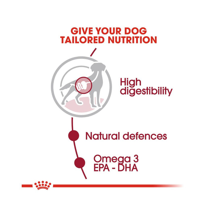 Royal Canin Medium Adult Dog Gravy Wet Food - Wet food in gravy for medium-sized adult dogs food benefits 