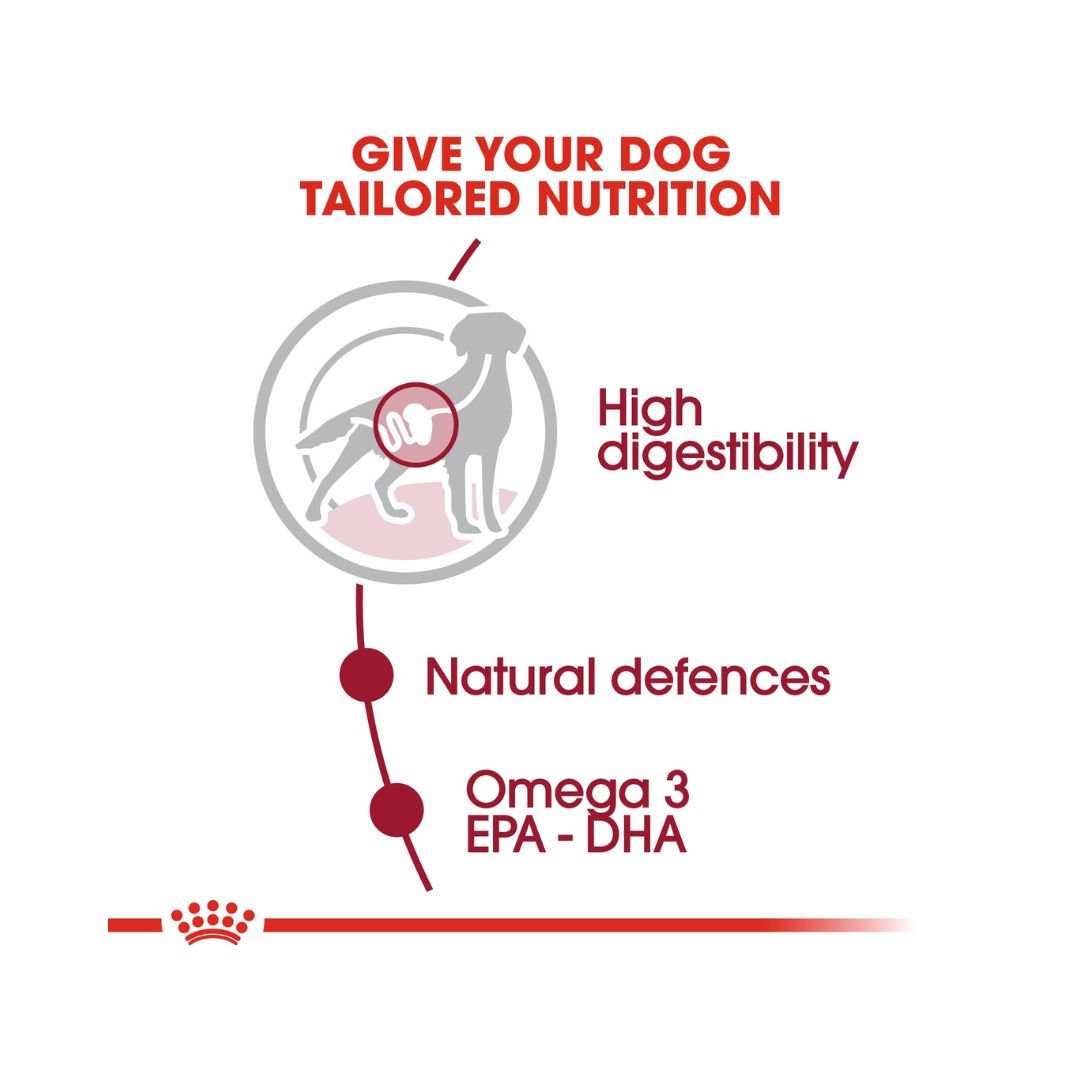 Royal Canin Medium Adult Dog Gravy Wet Food - Wet food in gravy for medium-sized adult dogs food benefits 