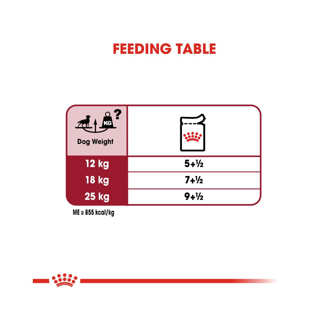 Royal Canin Medium Adult Dog Gravy Wet Food - Wet food in gravy for medium-sized adult dogs Feeding guide 