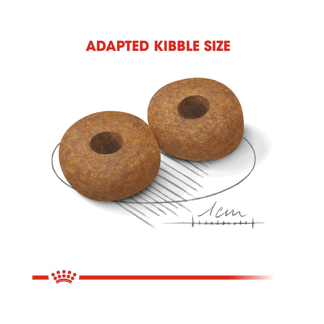 Royal Canin Medium Ageing 10+ Dog Dry Food - Kibble Size 