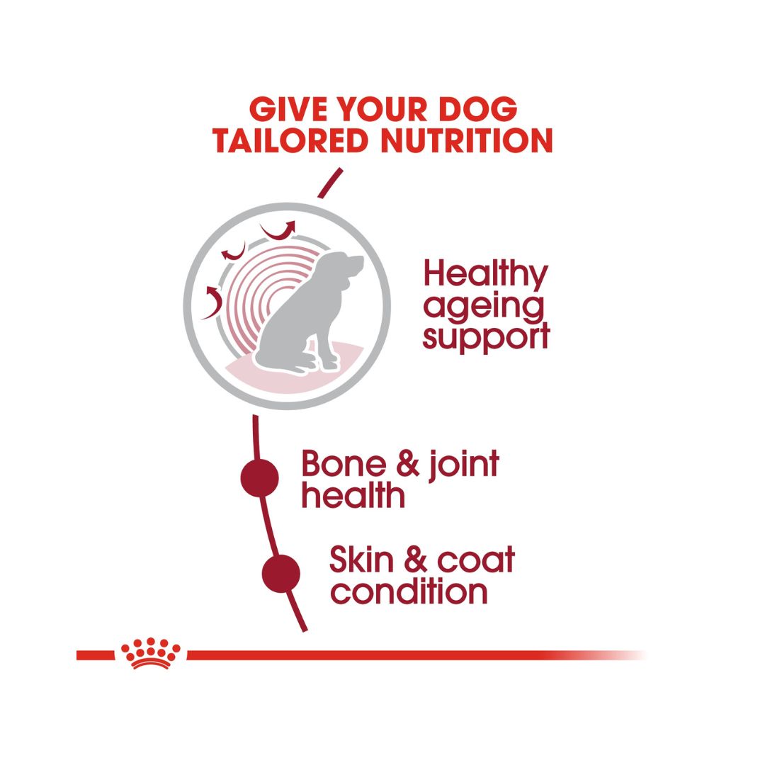 Royal Canin Medium Ageing 10+ Dog Dry Food - Benefits 