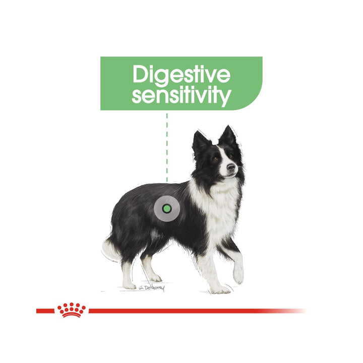 Royal Canin Medium Digestive Care Dog Dry Food Complete feed for dogs - Adult and mature medium breed dogs (from 11 to 25 kg) - Over 12 months old - Dogs prone to digestive sensitivity 3.