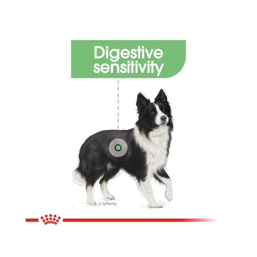 Royal Canin Medium Digestive Care Dog Dry Food - Benefits 