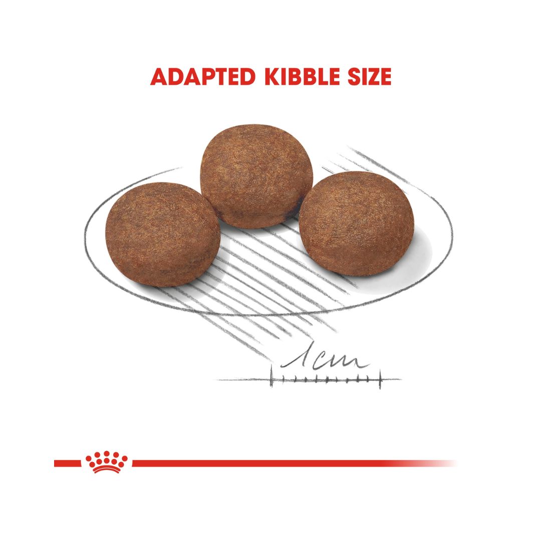 Royal Canin Medium Puppy Dry Food - Kibble Size 