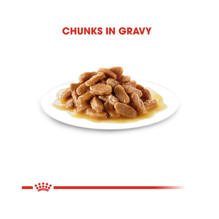  Royal Canin Medium Puppy Gravy Wet Food - Wet food in gravy for medium-sized puppies - Chunks in Gravy