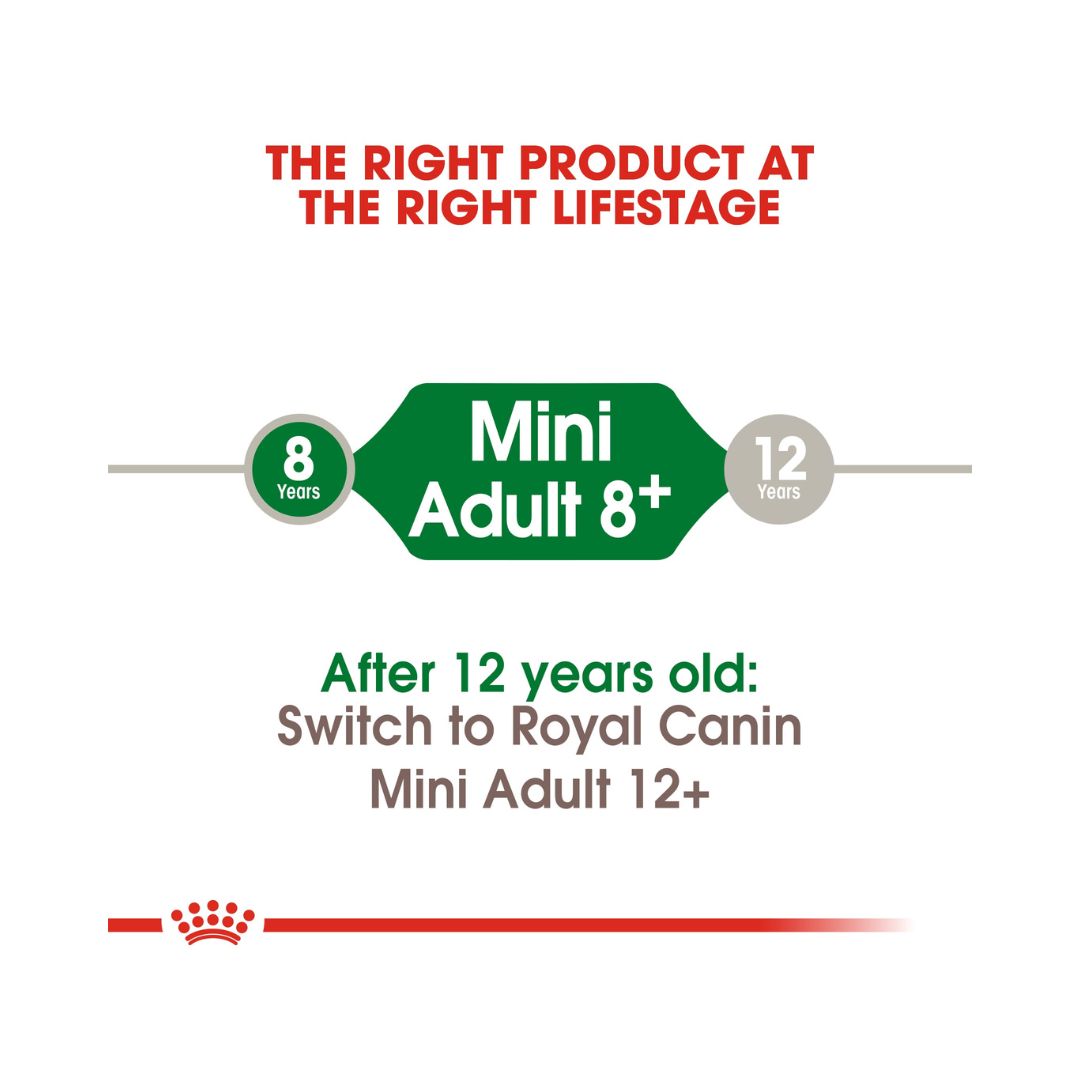 Royal Canin Mini Adult 8+ Dog dry Food Complete feed for mature small breed dogs up to 10 kg over 8 years old 3.