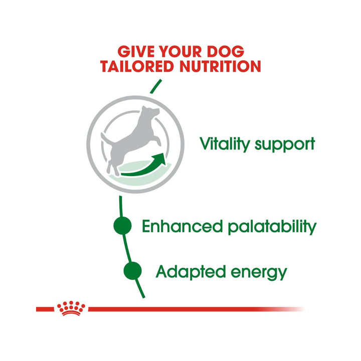 Royal Canin Mini Adult 8+ Dog dry Food Complete feed for mature small breed dogs up to 10 kg over 8 years old 5.