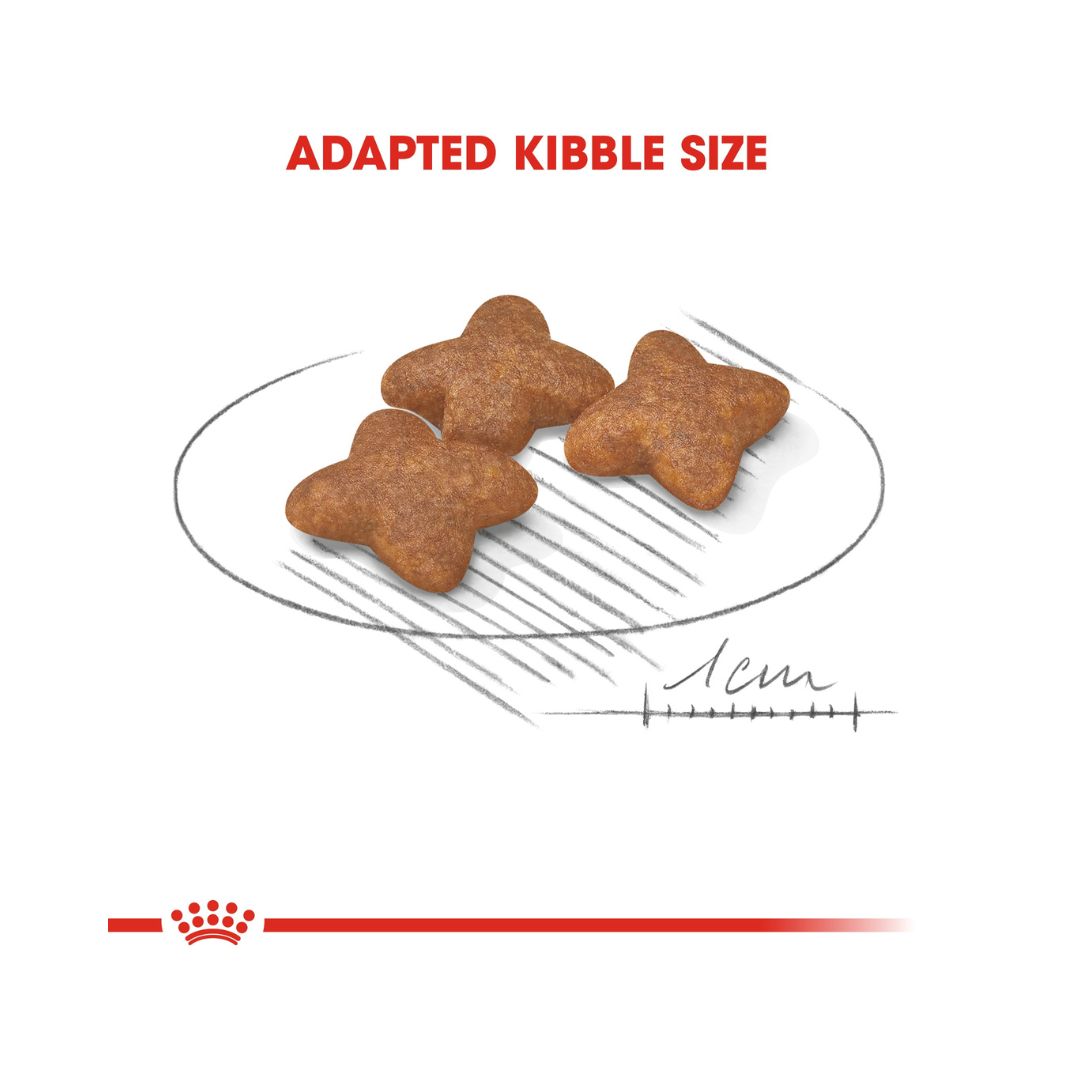 Royal Canin Mini Adult Dog Dry Food - kibble Size Royal Canin Mini Adult Dog Dry Food in 800g, 2kg, and 8kg packs. Kibbles Size