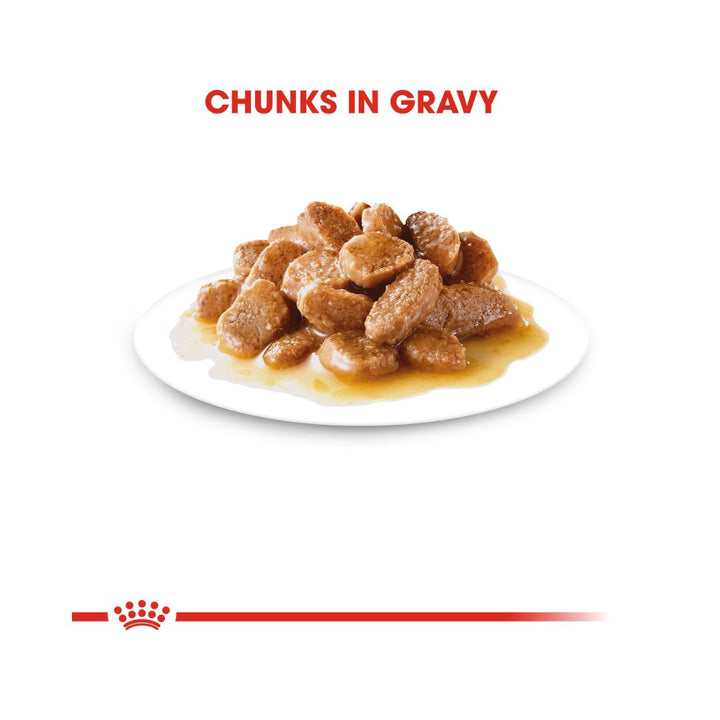Royal Canin Mini Adult Gravy Wet Dog Food - Wet food for small adult dogs. Chunks in Gravy 