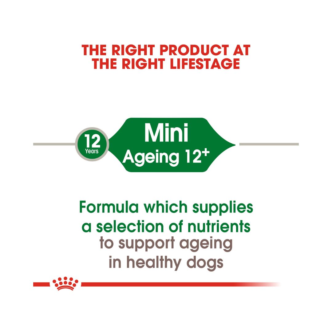 Royal Canin Mini Ageing 12+ Dry Dog Food - Age and Size 