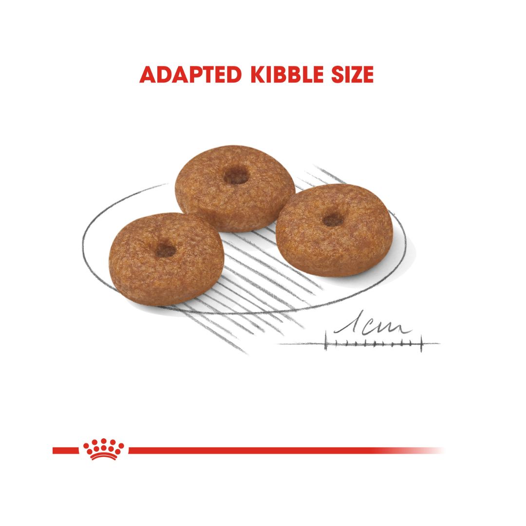 Royal Canin Mini Ageing 12+ Dry Dog Food - Kibble Size 