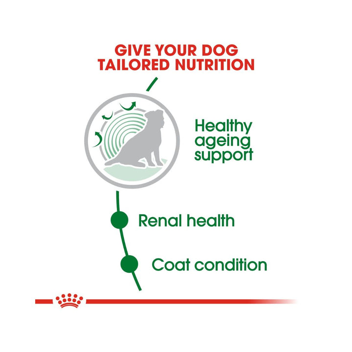 Royal Canin Mini Ageing 12+ Dry Dog Food for senior small breed dogs up to 10 kg over 12 years old 5.
