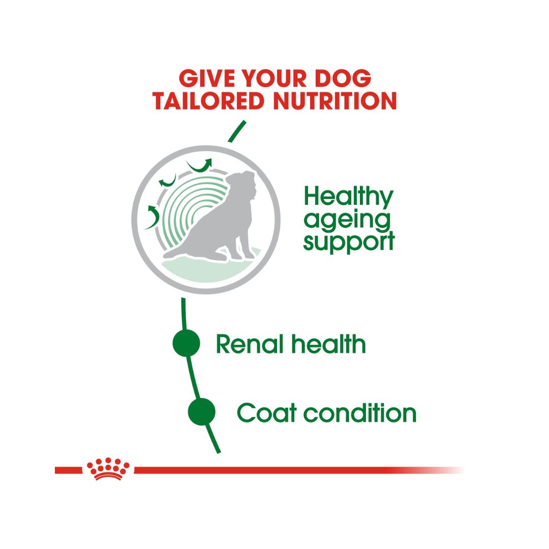 Royal Canin Mini Ageing 12+ Dry Dog Food - Food Benefits 