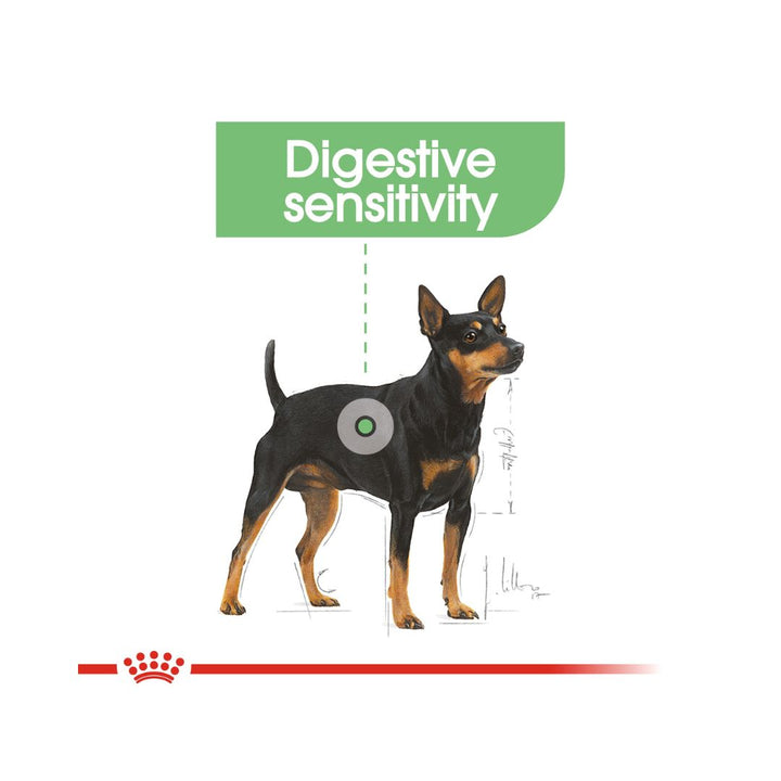 Royal Canin Mini Digestive Care Dog Dry Food Complete for adult and small mature breed dogs 1 to 10 kg; over 10 months old dogs prone to digestive sensitivity 3.