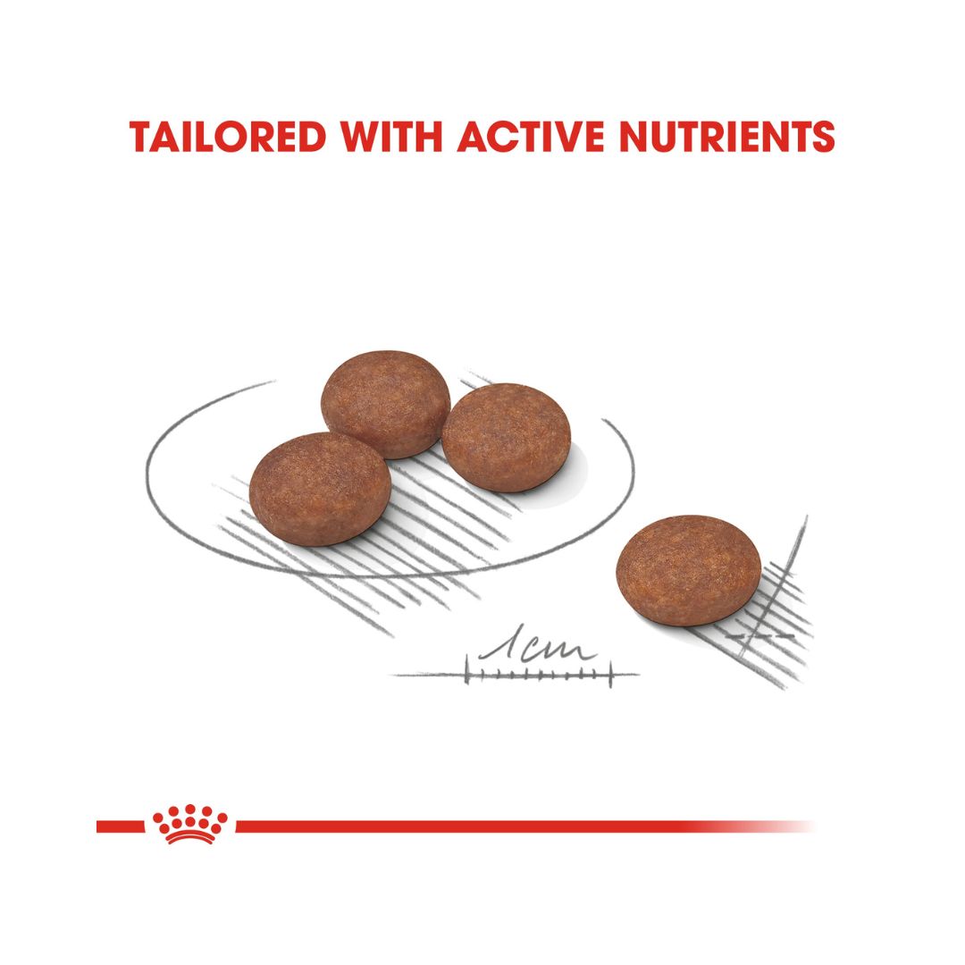Royal Canin Mini Digestive Care Dog Dry Food - kibble Size 