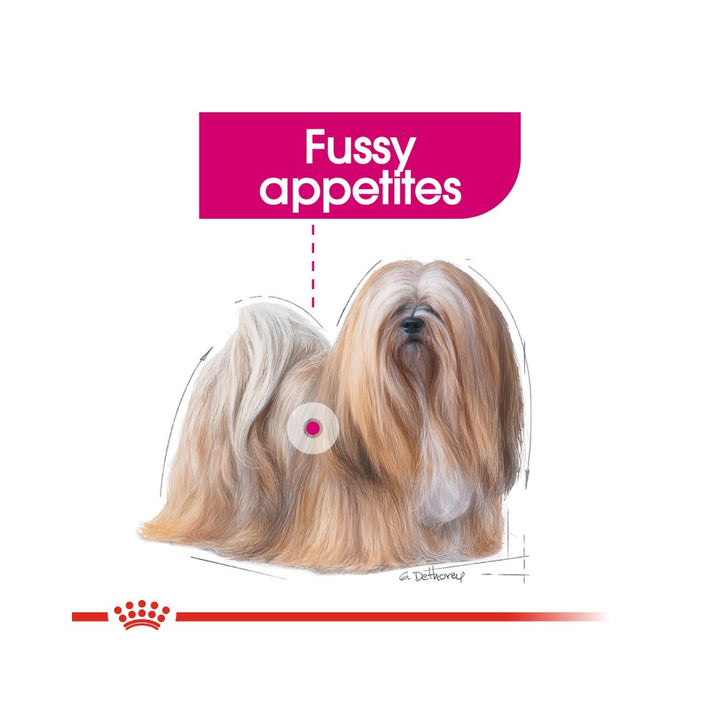 Royal Canin Mini Exigent Dog, Dry Food Complete, feed adult and mature small breed dogs from 1 to 10 kg Over 10 months old, Dogs with fussy appetites 3.
