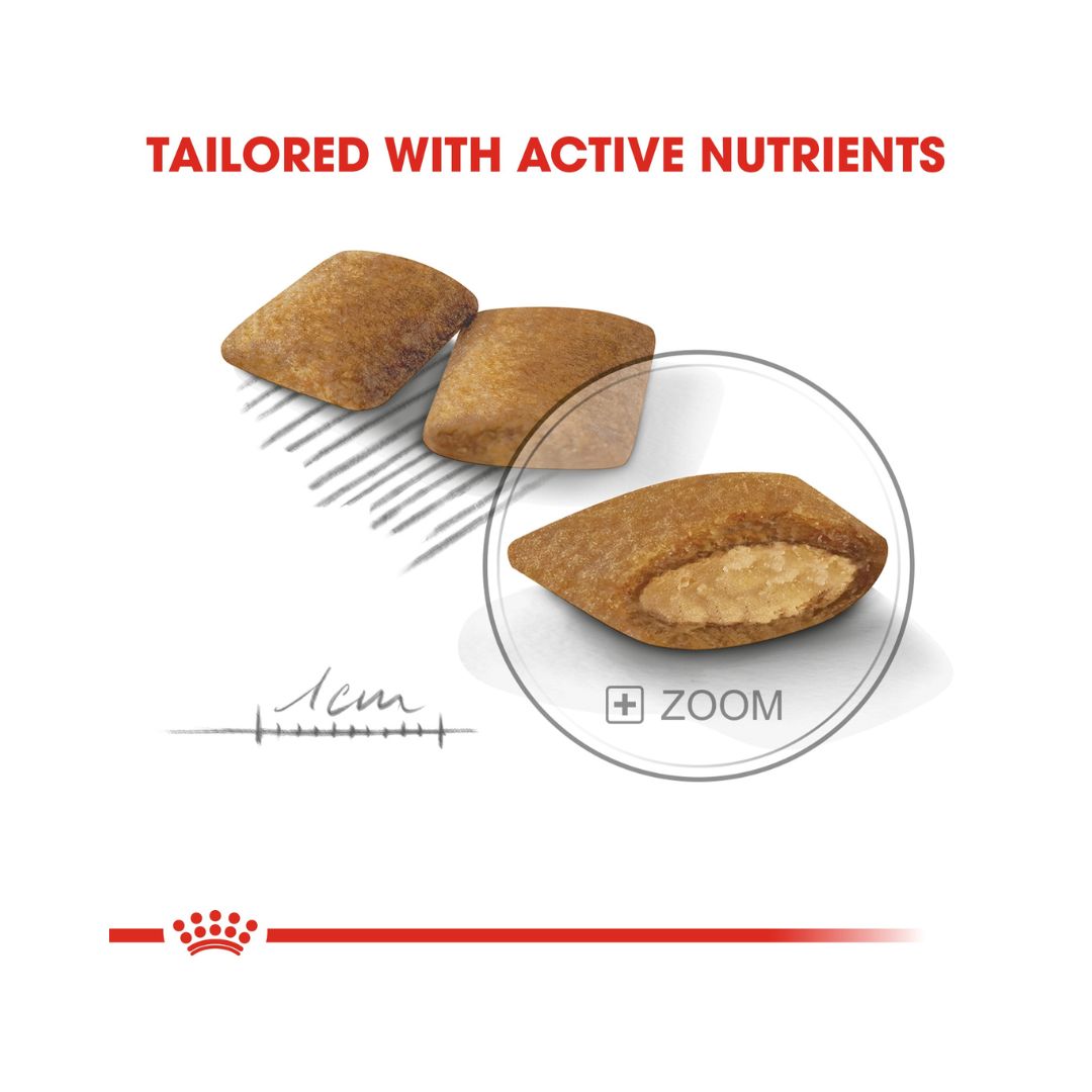 Royal Canin Mini Exigent Dog Dry Food - Kibble Size 