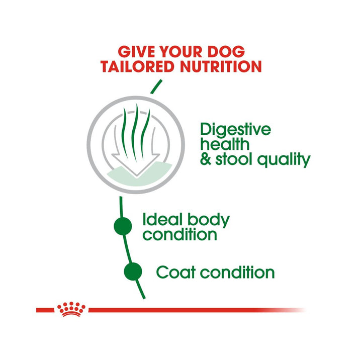 Royal Canin Mini Indoor Adult Dog Dry Food - Food Benefits 