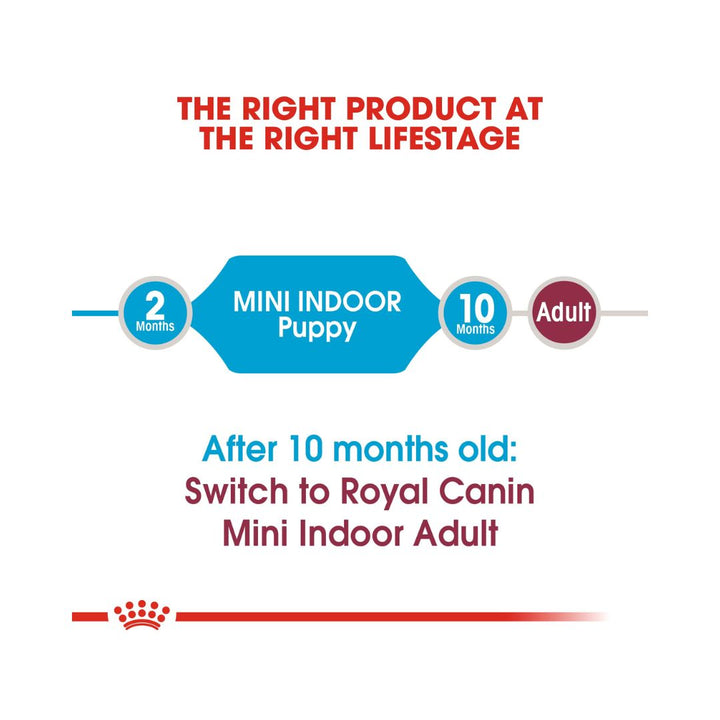 With ROYAL CANIN® Mini Indoor Puppy Dry Food, you provide your small indoor puppy with the essential nutrients needed for a healthy start, focusing on immune system support, digestive health, and coat well-being.