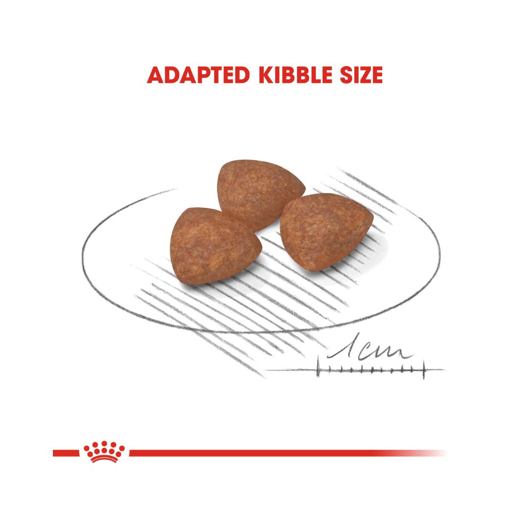 With ROYAL CANIN® Mini Indoor Puppy Dry Food, you provide your small indoor puppy with the essential nutrients needed for a healthy start, focusing on immune system support, digestive health, and coat well-being.