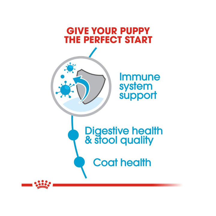 With ROYAL CANIN® Mini Indoor Puppy Dry Food, you provide your small indoor puppy with the essential nutrients needed for a healthy start, focusing on immune system support, digestive health, and coat well-being.