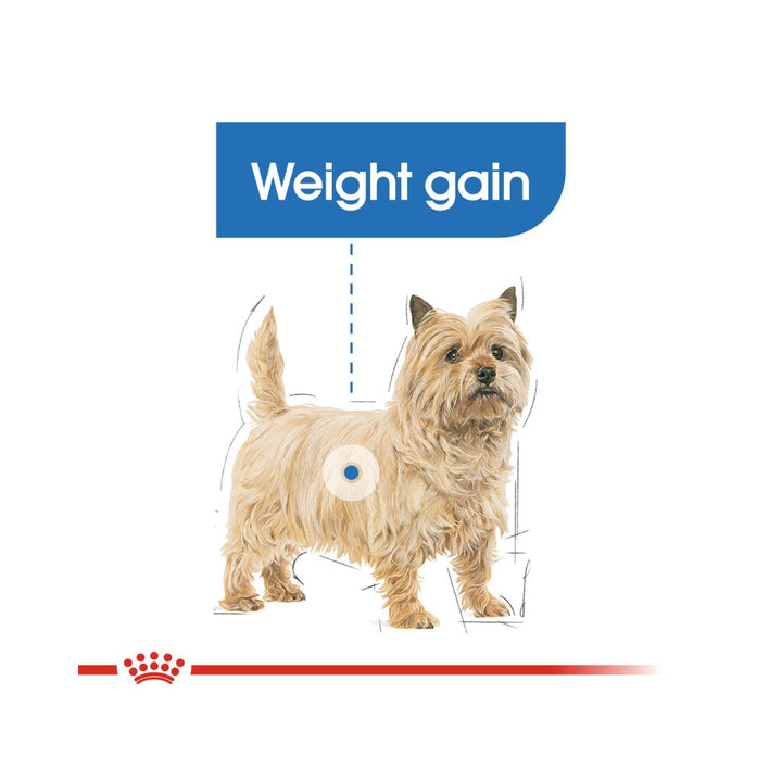 Royal Canin Mini Light Weight Care Dog Dry Food Complete feed for adult and mature small breed dogs 1 to 10 kg Over 10 months old dogs with a tendency to gain weight 3.