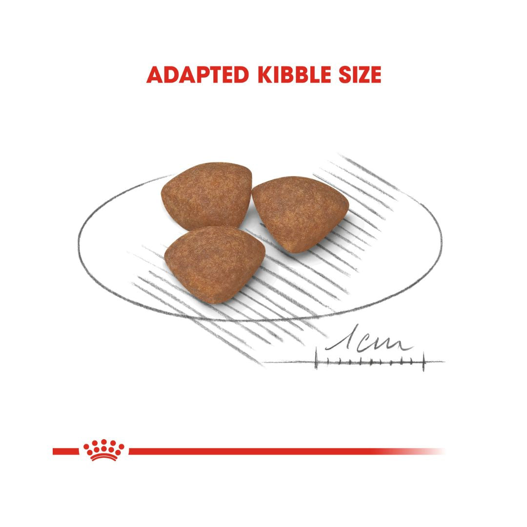 Royal Canin Mini Puppy Dry Food - Kibble Size 