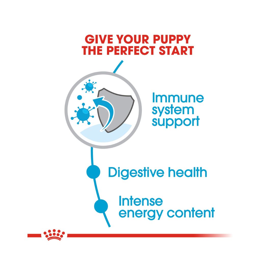 Royal Canin Mini Puppy Dry Food - Food benefits 