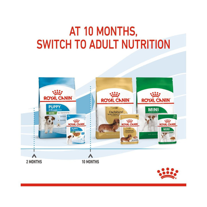 Royal Canin Mini Puppy Gravy Wet Food for small breed puppies weighing from 1 to 10 kg up to 10 months old 7.