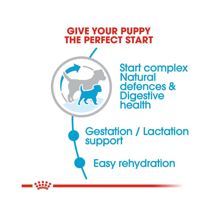 Royal Canin Mini Starter Mother & Babydog Dry Food For the small breed mother up to 10 kg and her puppies 5.