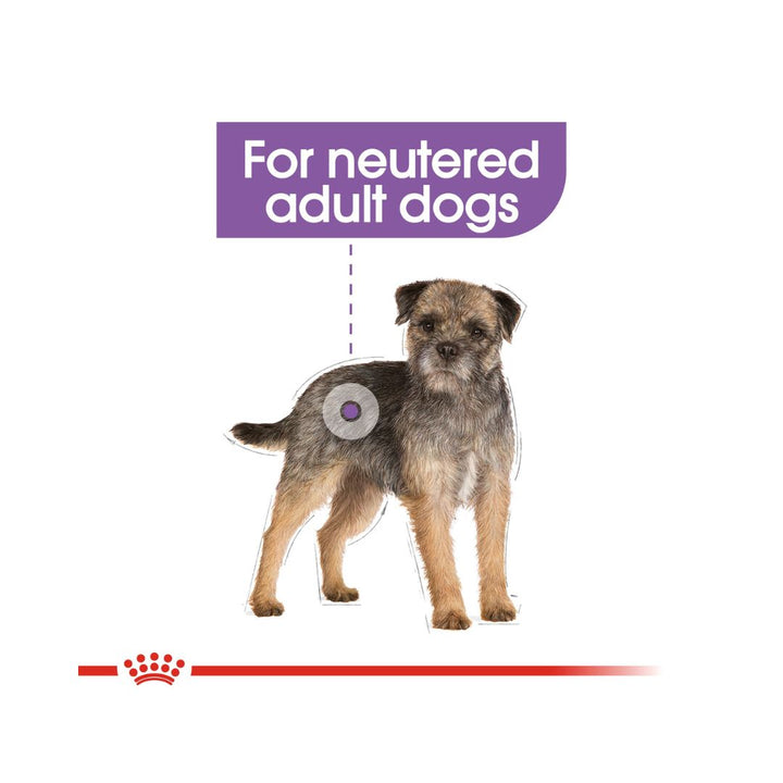 Royal Canin Mini Sterilized Adult For neutered adult dogs Combining high protein content (30%) and moderate fat intake (13%) helps maintain an ideal weight 4.