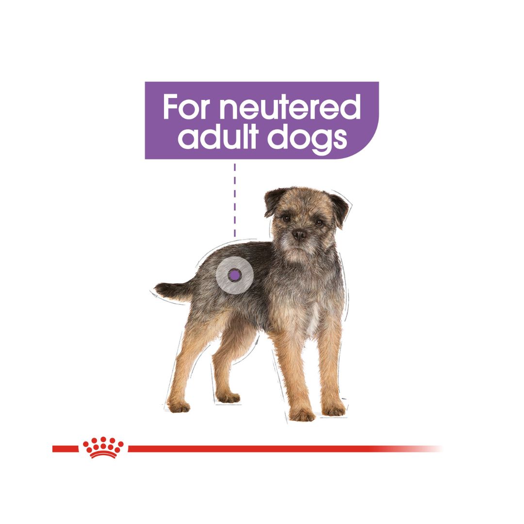Royal Canin Mini Sterilized Adult Dog Dry Food - For neutered adult Dogs 