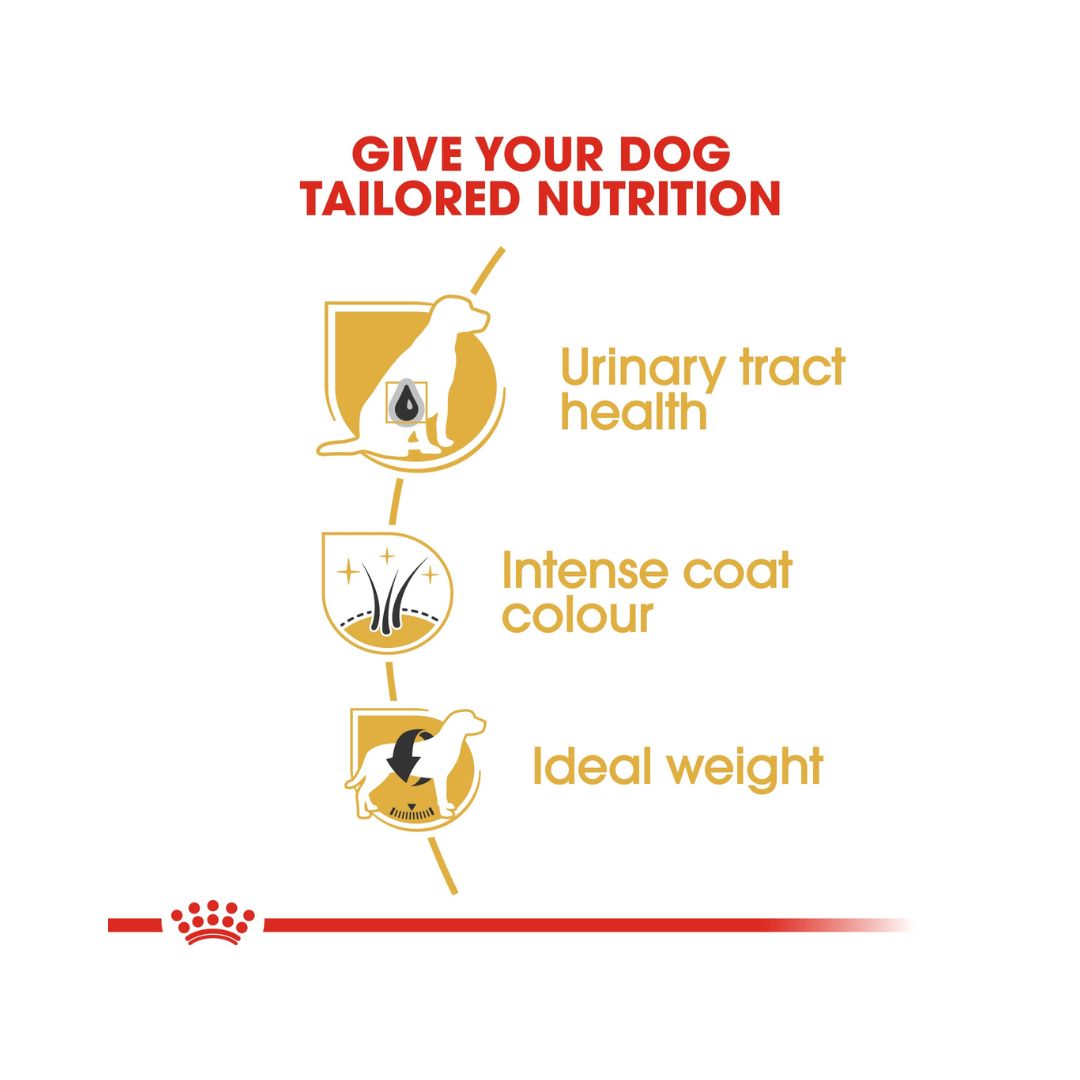 Royal Canin Miniature Schnauzer Adult Dog Dry Food - Benefits 