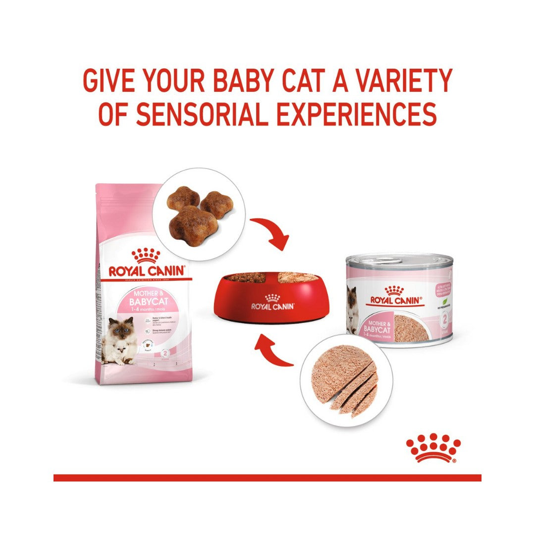 ROYAL CANIN® Mother & Babycat (Mousse) is formulated to meet the nutritional needs of gestating or lactating queens and 1 to 4-month-old kittens during their 1st age. It