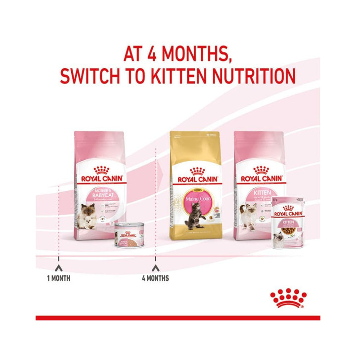 ROYAL CANIN® Mother & Babycat (Mousse) is formulated to meet the nutritional needs of gestating or lactating queens and 1 to 4-month-old kittens during their 1st age. It