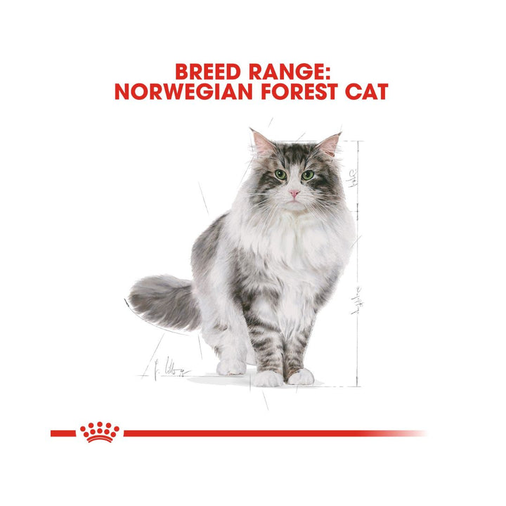 Royal Canin Norwegian Forest Cat Adult Dry Food Balanced and complete feed for cats over 12 months old 3.