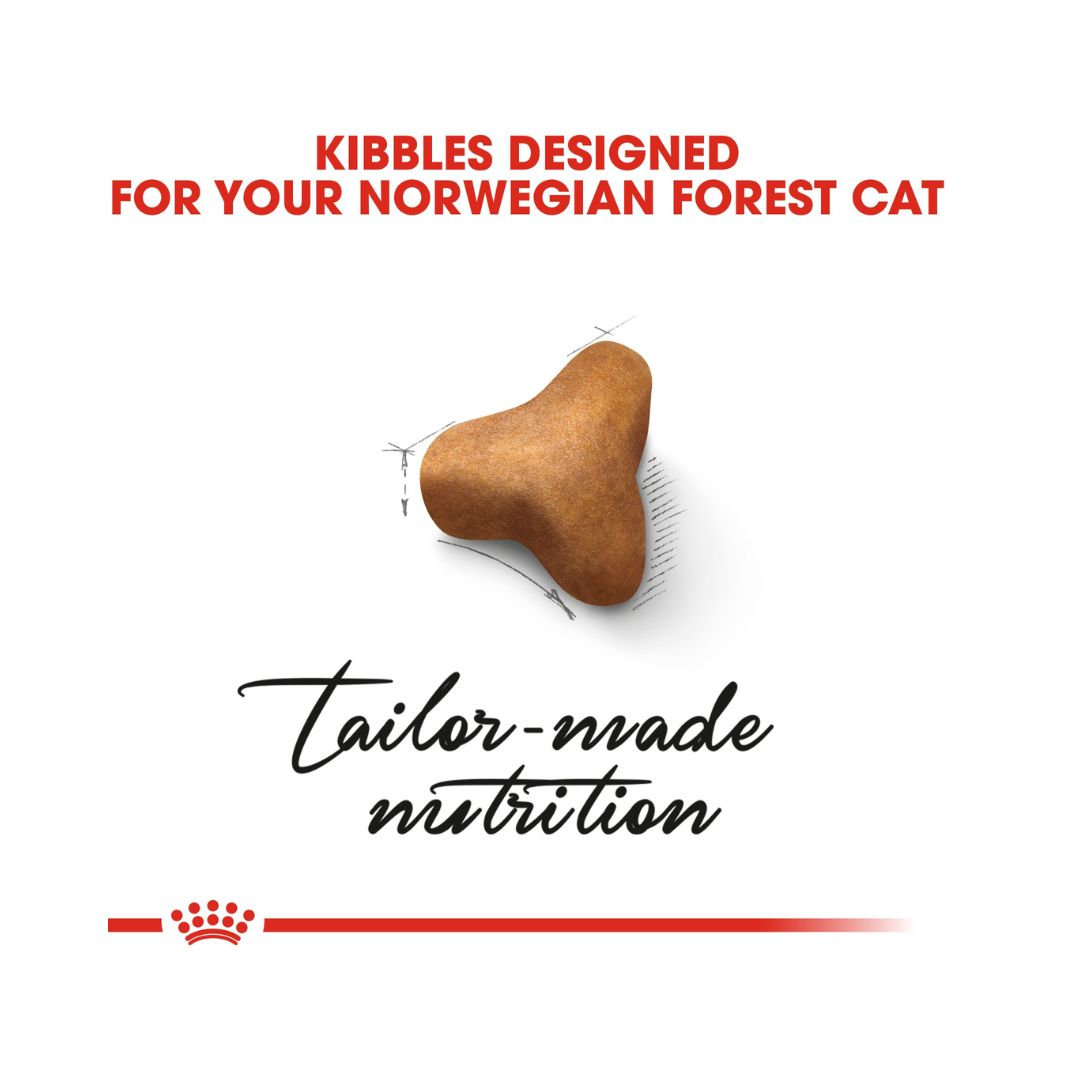 Royal Canin Norwegian Forest Cat Adult Dry Food - Kibble Size 